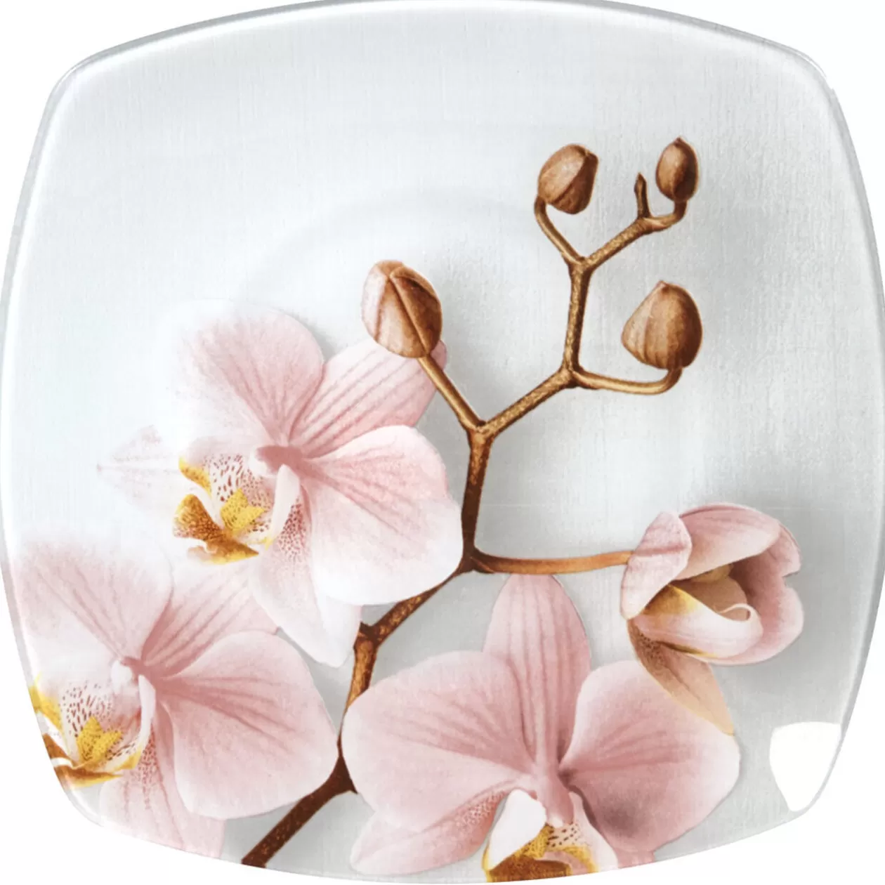 Assiette à dessert carrée design Orchidée>Gifi Outlet