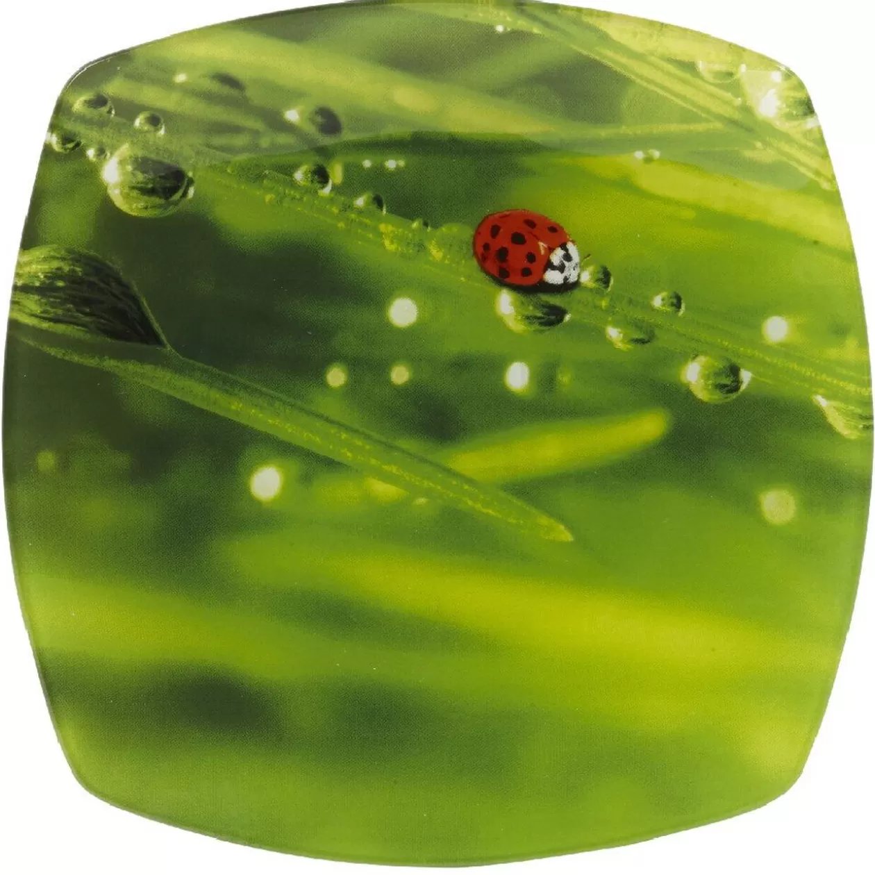 Assiette à dessert carrée verte design coccinelle>Gifi Shop