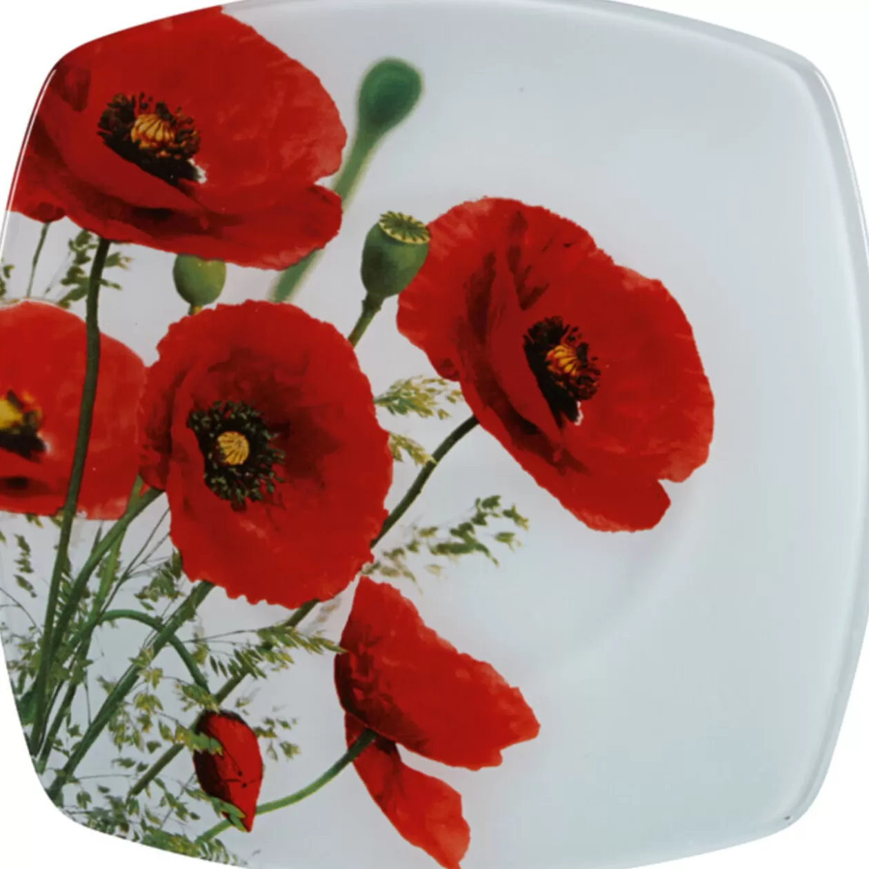 Assiette à dessert design coquelicot>Gifi Hot