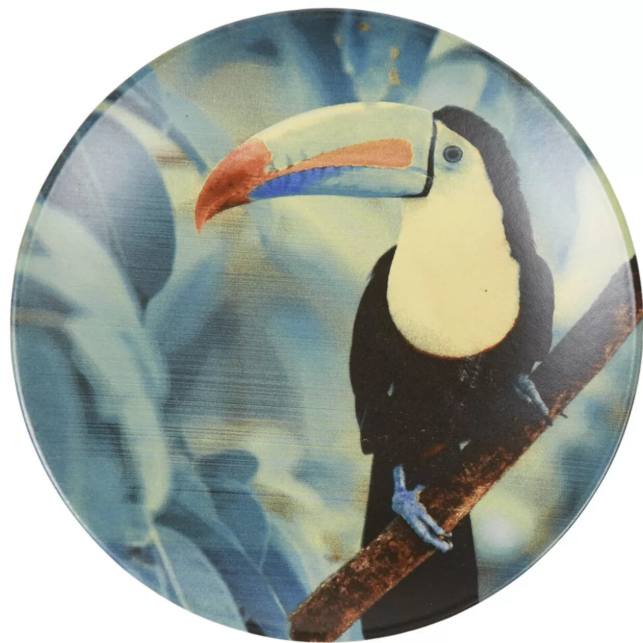 Assiette à dessert en faïence imprimé exotique toucan>Gifi Discount