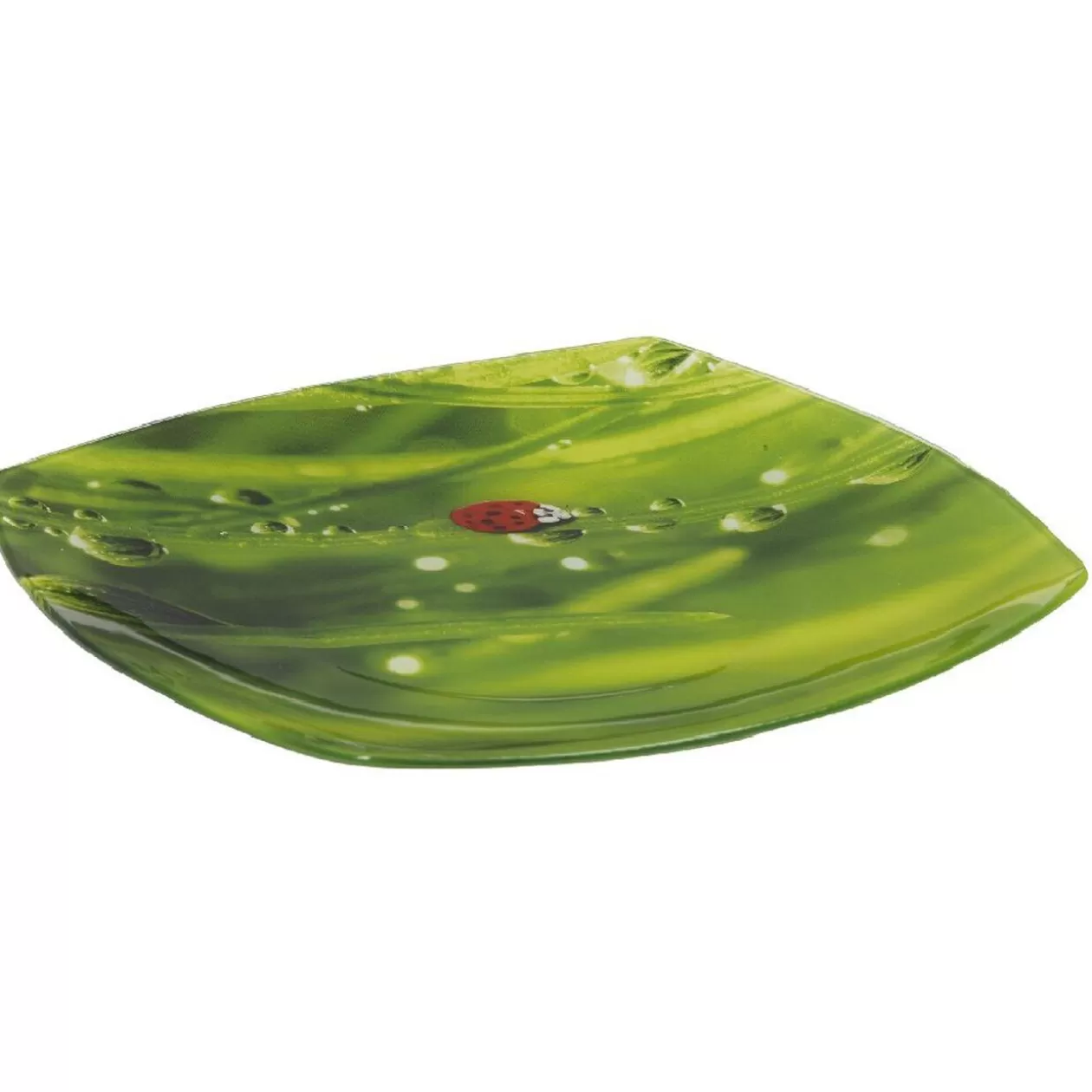 Assiette plate carrée verte design coccinelle>Gifi Online