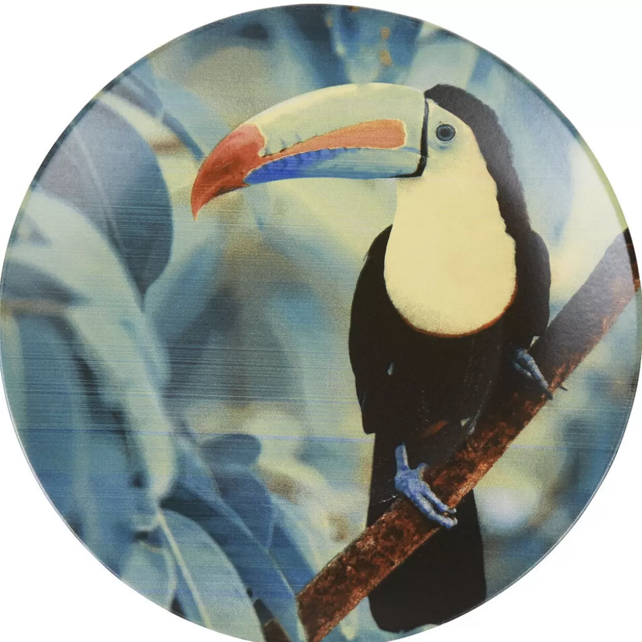Assiette plate en faïence imprimé exotique toucan>Gifi Discount