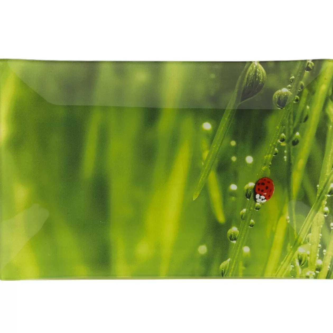 Assiette plate rectangulaire verte design coccinelle>Gifi Online