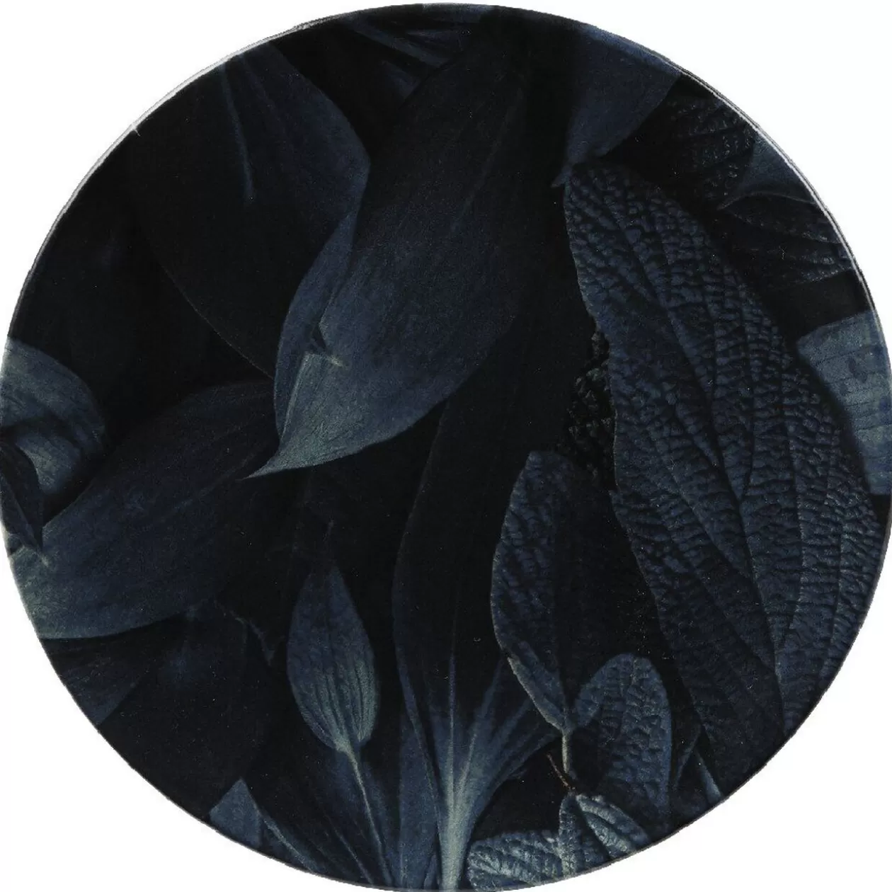 Assiette ronde plate motif feuillage vert noir>Gifi Clearance