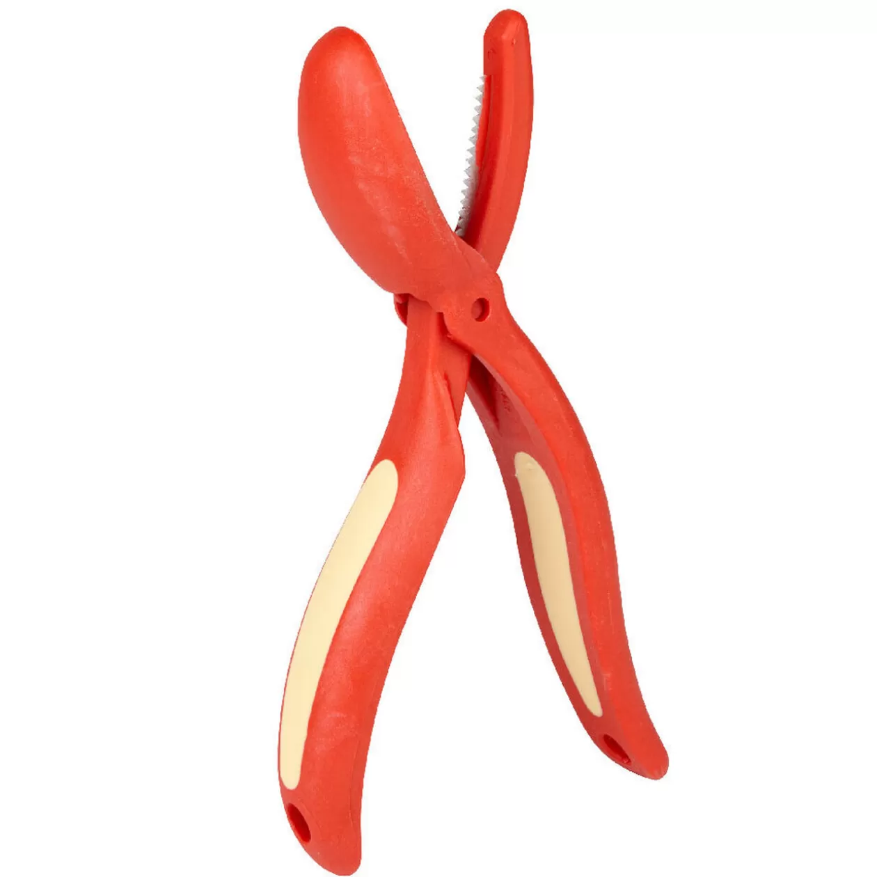 Gifi Coupe chataignes rouge et jaune< Préparation Culinaire