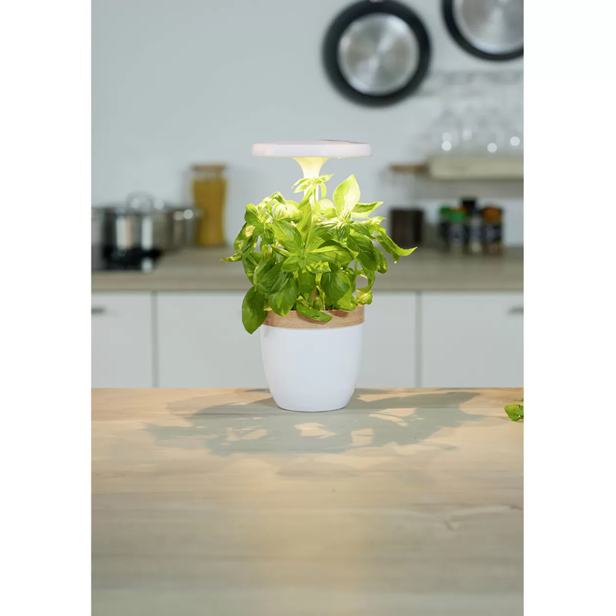 Potager d'intérieur à éclairage led CECOA>Gifi Sale