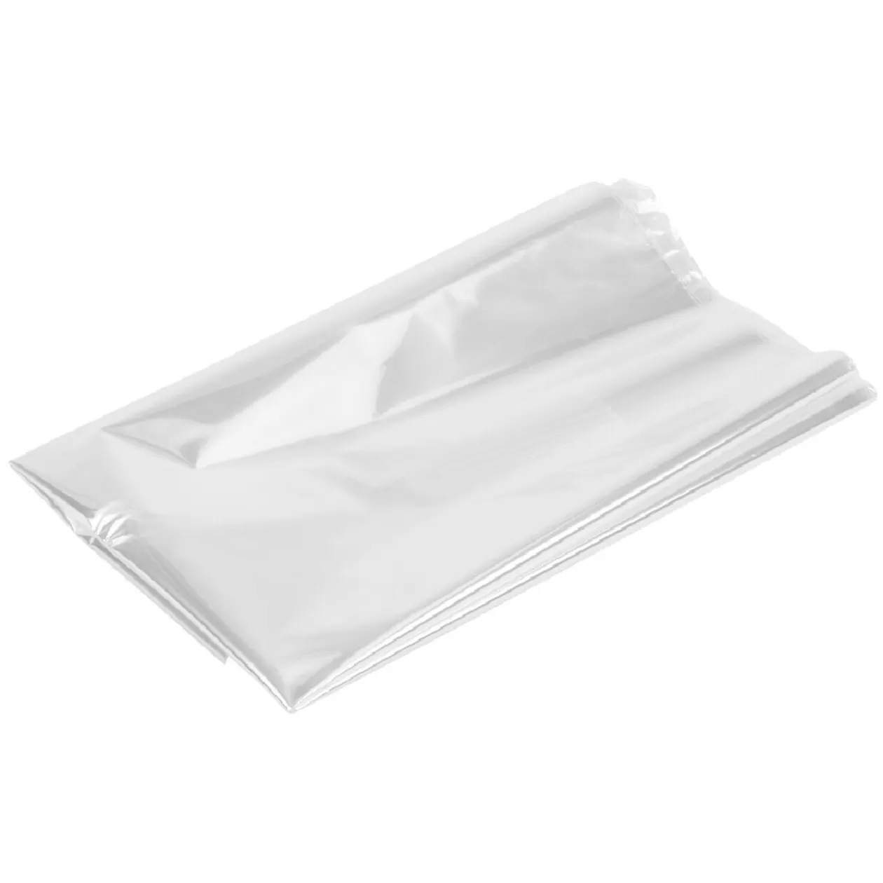 Gifi Sachet de cuisson au four x10< Conservation Alimentaire